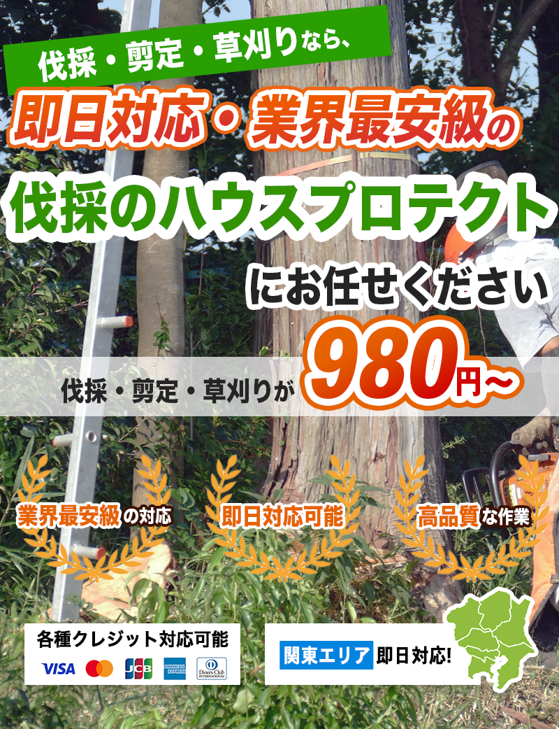 伐採・剪定・草刈りなら、即日対応・業界最安級の伐採のハウスプロテクトにお任せください