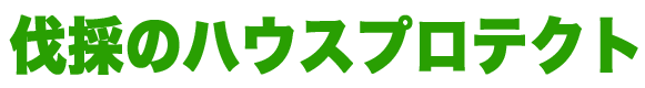 ダミーテキスト