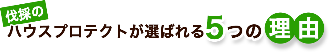 伐採の伐採のハウスプロテクトが選ばれる5つの理由